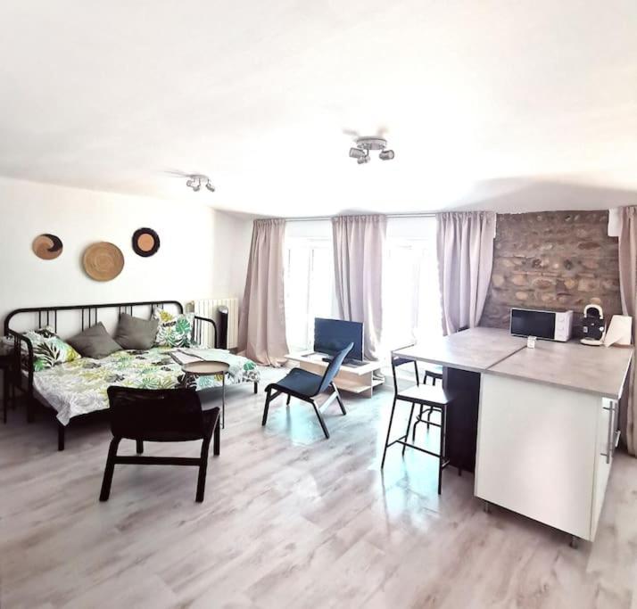 Studio Coquet Avec Vue Sainte-Foy-lès-Lyon Exterior foto